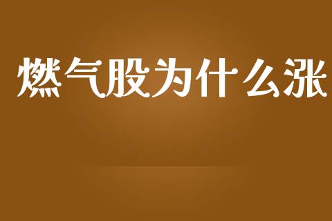 燃气股为什么涨_https://www.gongyisiwang.com_道指_第1张