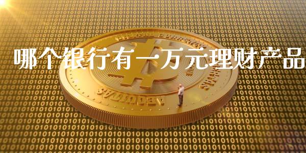 哪个银行有一万元理财产品_https://www.gongyisiwang.com_广发期货手续费_第1张