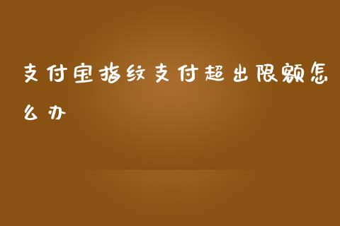 支付宝指纹支付超出限额怎么办_https://www.gongyisiwang.com_道指_第1张