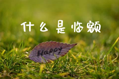 什么是临额_https://www.gongyisiwang.com_股指期货交易手续费_第1张