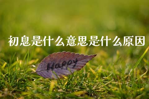 初息是什么意思是什么原因_https://www.gongyisiwang.com_焦炭期货手续费_第1张