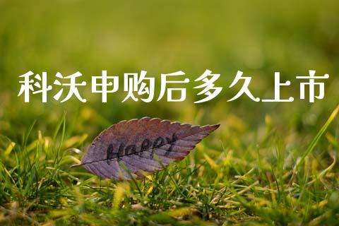 科沃申购后多久上市_https://www.gongyisiwang.com_道指_第1张