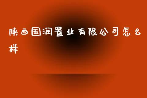 陕西国润置业有限公司怎么样_https://www.gongyisiwang.com_焦炭期货手续费_第1张