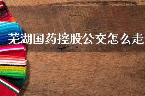 芜湖国药控股公交怎么走_https://www.gongyisiwang.com_股指期货交易手续费_第1张