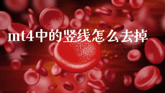 mt4中的竖线怎么去掉_https://www.gongyisiwang.com_焦炭期货手续费_第1张