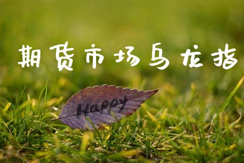 期货市场乌龙指_https://www.gongyisiwang.com_恒指期货_第1张