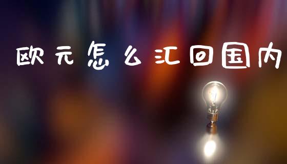 欧元怎么汇回国内_https://www.gongyisiwang.com_股指期货交易手续费_第1张
