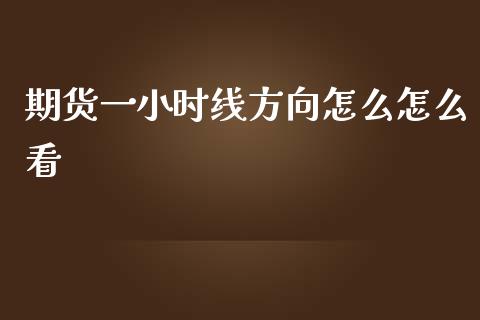 期货一小时线方向怎么怎么看_https://www.gongyisiwang.com_股指期货交易手续费_第1张