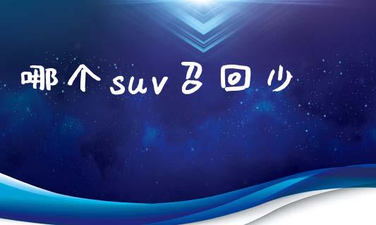 哪个suv召回少_https://www.gongyisiwang.com_恒指期货_第1张