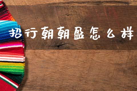 招行朝朝盈怎么样_https://www.gongyisiwang.com_期货公司手续费排名_第1张
