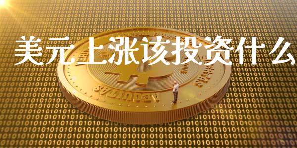 美元上涨该投资什么_https://www.gongyisiwang.com_股指期货_第1张