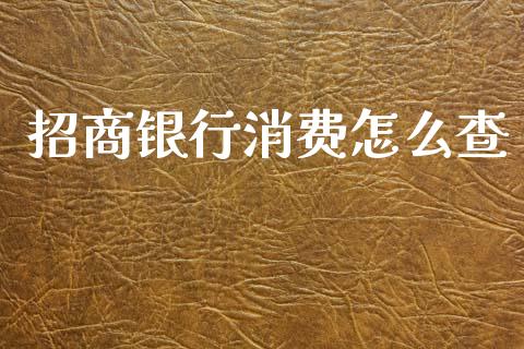 招商银行消费怎么查_https://www.gongyisiwang.com_原油期货_第1张
