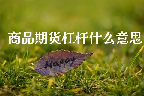 商品期货杠杆什么意思_https://www.gongyisiwang.com_恒指期货_第1张