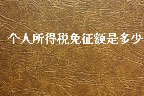 个人所得税免征额是多少_https://www.gongyisiwang.com_焦炭期货手续费_第1张