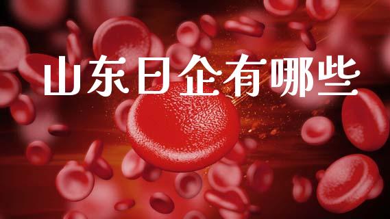 山东日企有哪些_https://www.gongyisiwang.com_广发期货手续费_第1张