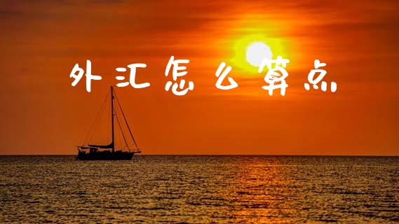 外汇怎么算点_https://www.gongyisiwang.com_道指_第1张