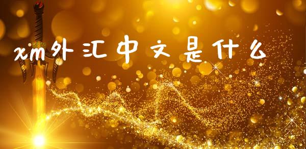 xm外汇中文是什么_https://www.gongyisiwang.com_股指期货交易手续费_第1张