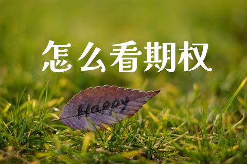 怎么看期权_https://www.gongyisiwang.com_道指_第1张