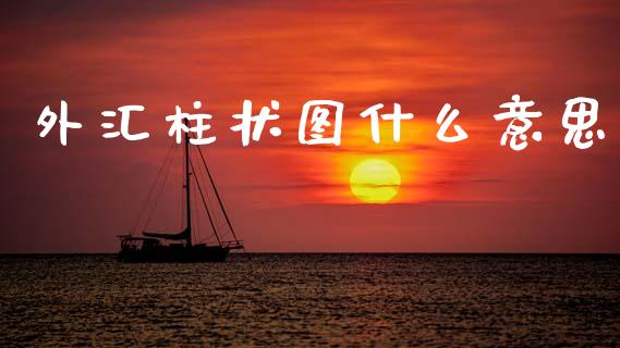 外汇柱状图什么意思_https://www.gongyisiwang.com_恒指期货_第1张