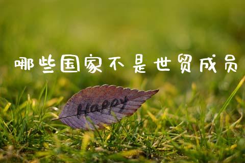 哪些国家不是世贸成员_https://www.gongyisiwang.com_股指期货交易手续费_第1张