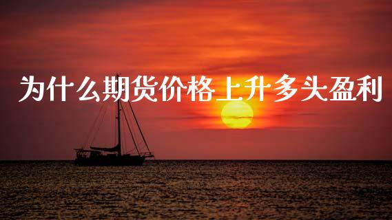 为什么期货价格上升多头盈利_https://www.gongyisiwang.com_焦炭期货手续费_第1张