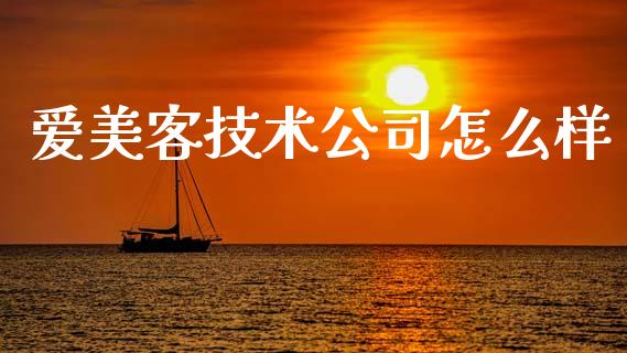 爱美客技术公司怎么样_https://www.gongyisiwang.com_焦炭期货手续费_第1张