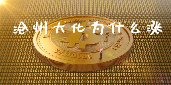 沧州大化为什么涨_https://www.gongyisiwang.com_广发期货手续费_第1张