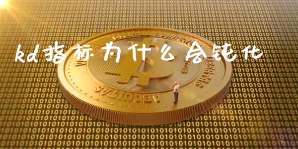 kd指标为什么会钝化_https://www.gongyisiwang.com_广发期货手续费_第1张
