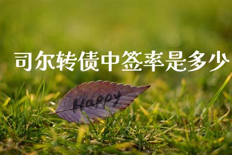 司尔转债中签率是多少_https://www.gongyisiwang.com_原油期货_第1张