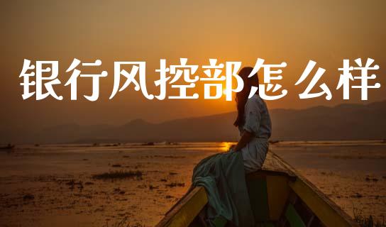 银行风控部怎么样_https://www.gongyisiwang.com_焦炭期货手续费_第1张