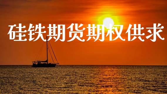 硅铁期货期权供求_https://www.gongyisiwang.com_恒指期货_第1张