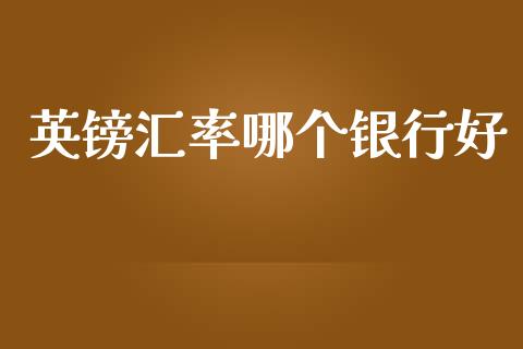 英镑汇率哪个银行好_https://www.gongyisiwang.com_原油期货_第1张