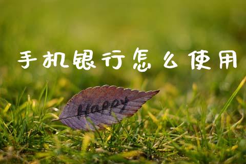 手机银行怎么使用_https://www.gongyisiwang.com_广发期货手续费_第1张