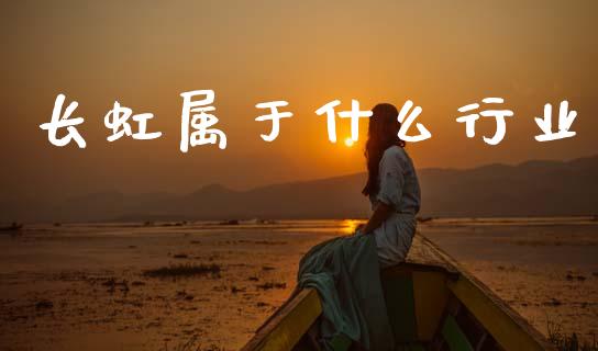 长虹属于什么行业_https://www.gongyisiwang.com_恒指期货_第1张