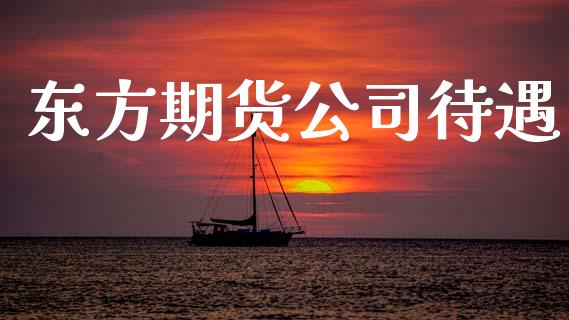 东方期货公司待遇_https://www.gongyisiwang.com_期货公司手续费排名_第1张