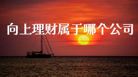 向上理财属于哪个公司_https://www.gongyisiwang.com_道指_第1张