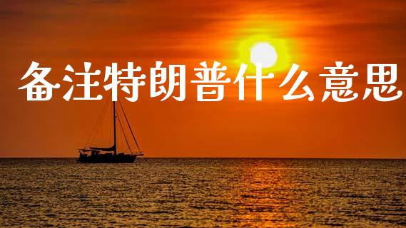 备注特朗普什么意思_https://www.gongyisiwang.com_原油期货_第1张