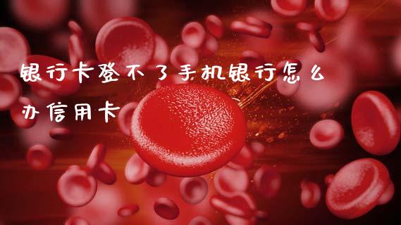 银行卡登不了手机银行怎么办信用卡_https://www.gongyisiwang.com_恒指期货_第1张