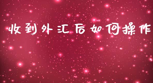 收到外汇后如何操作_https://www.gongyisiwang.com_恒指期货_第1张