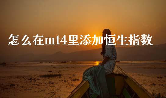 怎么在mt4里添加恒生指数_https://www.gongyisiwang.com_焦炭期货手续费_第1张