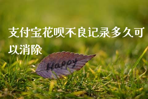 支付宝花呗不良记录多久可以消除_https://www.gongyisiwang.com_期货公司手续费排名_第1张