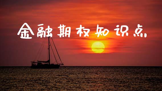 金融期权知识点_https://www.gongyisiwang.com_期货公司手续费排名_第1张
