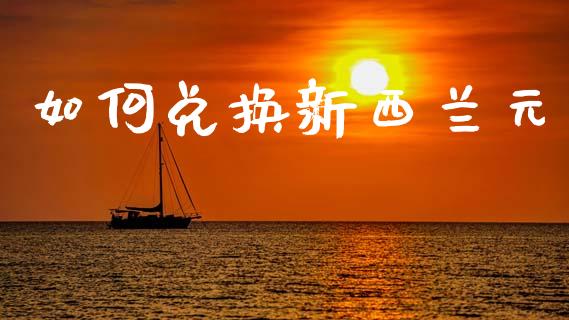 如何兑换新西兰元_https://www.gongyisiwang.com_恒指期货_第1张
