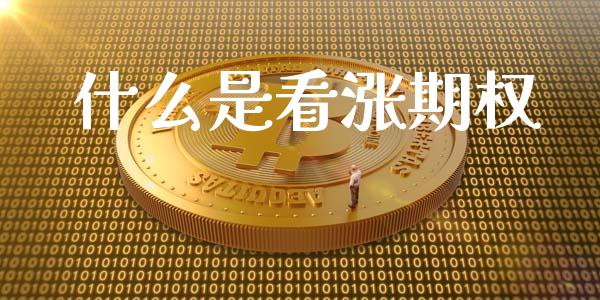 什么是看涨期权_https://www.gongyisiwang.com_股指期货交易手续费_第1张
