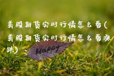 美股期货实时行情怎么看(美股期货实时行情怎么看涨跌)_https://www.gongyisiwang.com_焦炭期货手续费_第1张