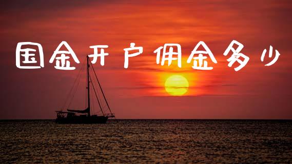 国金开户佣金多少_https://www.gongyisiwang.com_道指_第1张