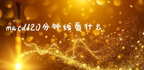 macd120分钟线看什么_https://www.gongyisiwang.com_股指期货_第1张