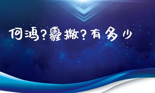 何鸿?霾撇?有多少_https://www.gongyisiwang.com_恒指期货_第1张