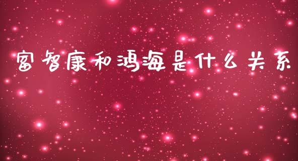 富智康和鸿海是什么关系_https://www.gongyisiwang.com_股指期货交易手续费_第1张