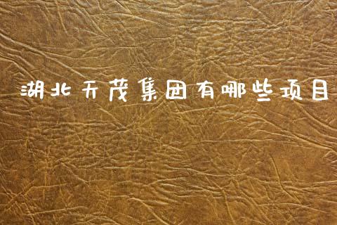 湖北天茂集团有哪些项目_https://www.gongyisiwang.com_期货公司手续费排名_第1张